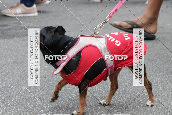 Buy your photos of the event13� C�ominhada - Santos on Fotop