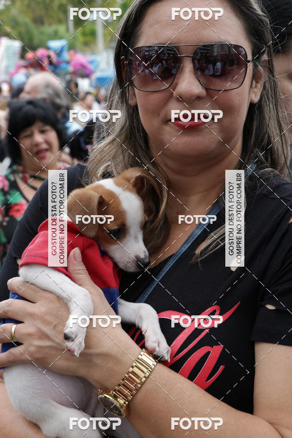 Buy your photos of the event13� C�ominhada - Santos on Fotop