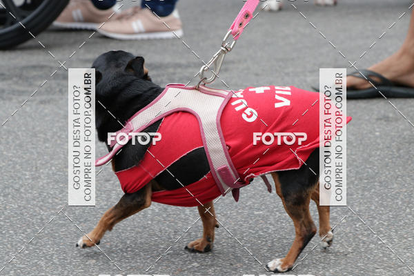 Buy your photos of the event13� C�ominhada - Santos on Fotop