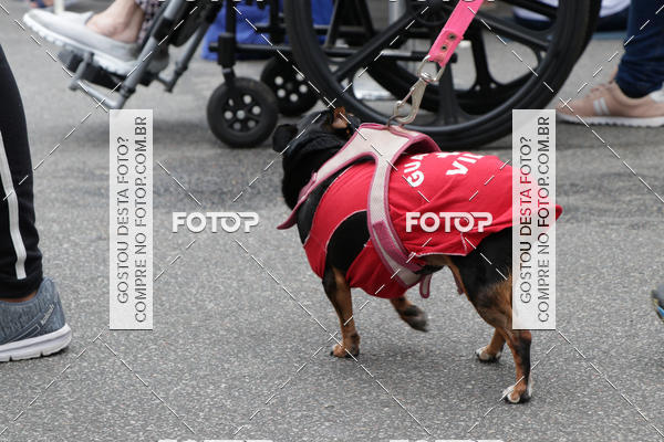 Buy your photos of the event13� C�ominhada - Santos on Fotop