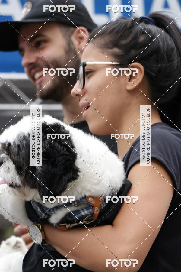 Buy your photos of the event13� C�ominhada - Santos on Fotop