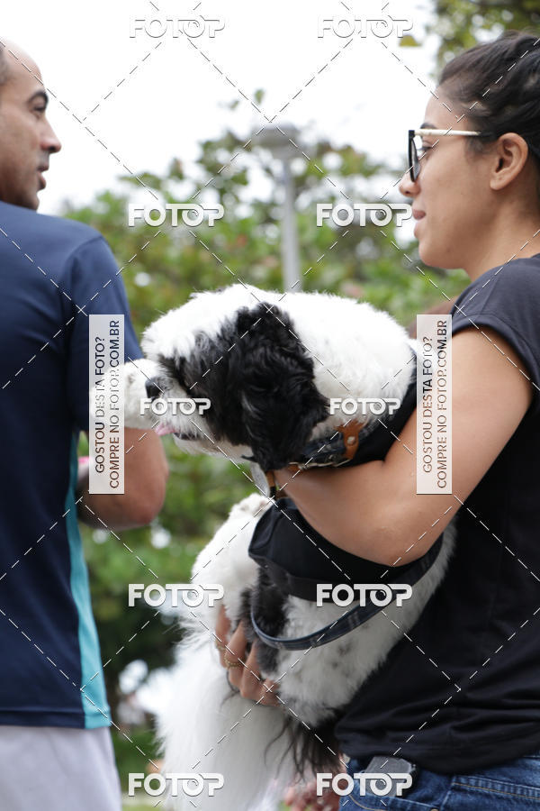 Buy your photos of the event13� C�ominhada - Santos on Fotop