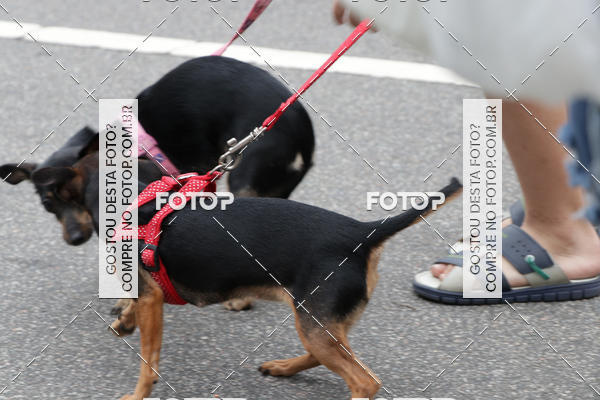 Buy your photos of the event13� C�ominhada - Santos on Fotop