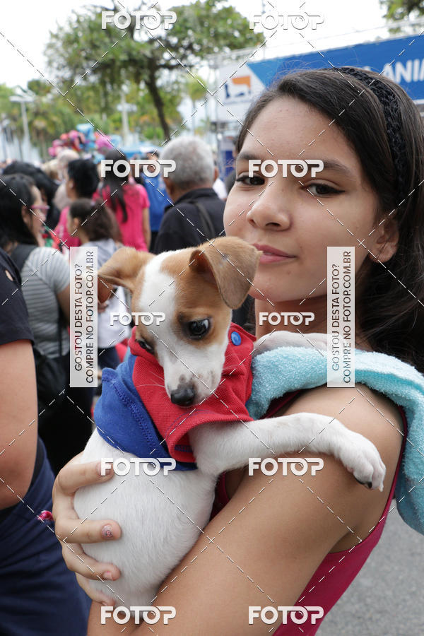 Buy your photos of the event13� C�ominhada - Santos on Fotop