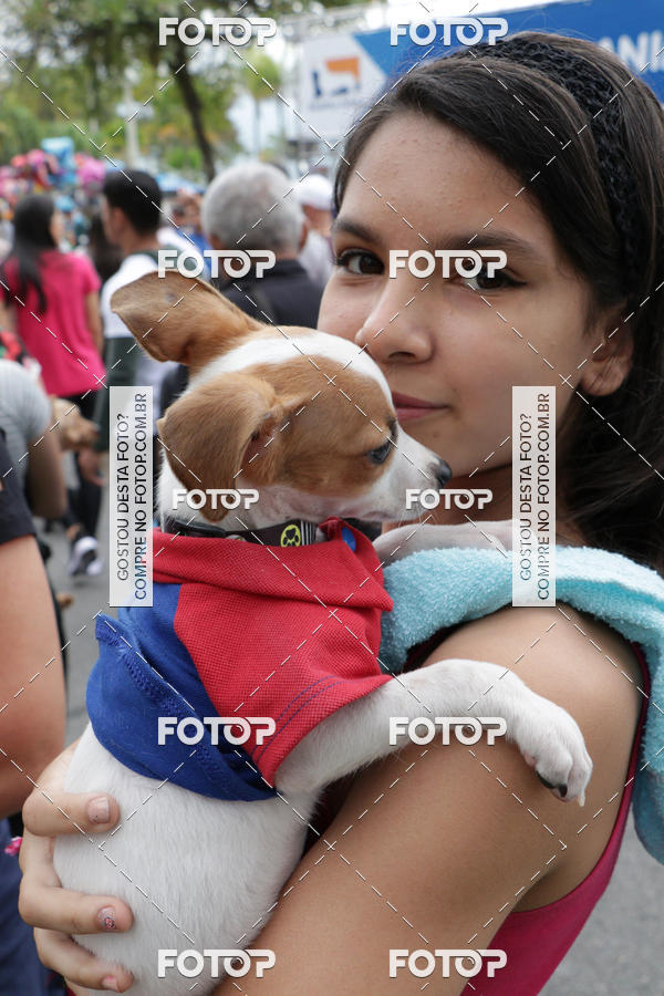 Buy your photos of the event13� C�ominhada - Santos on Fotop