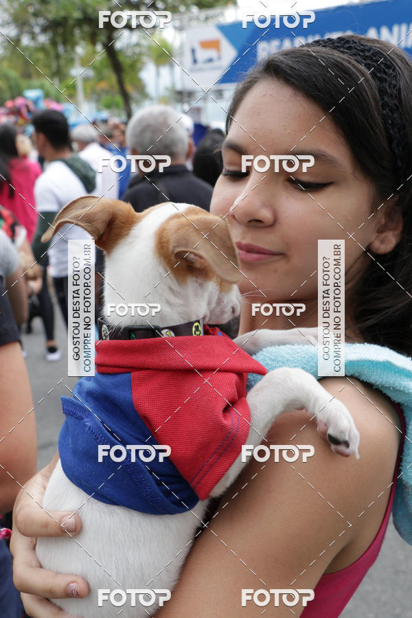 Buy your photos of the event13� C�ominhada - Santos on Fotop