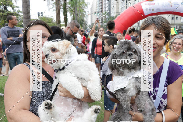 Buy your photos of the event13� C�ominhada - Santos on Fotop