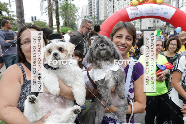 Buy your photos of the event13� C�ominhada - Santos on Fotop