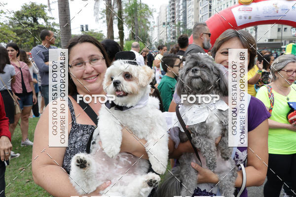 Buy your photos of the event13� C�ominhada - Santos on Fotop