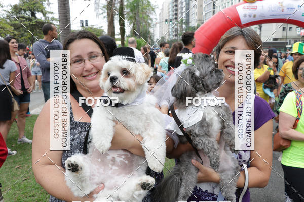Buy your photos of the event13� C�ominhada - Santos on Fotop