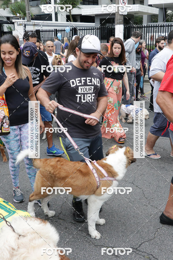 Buy your photos of the event13� C�ominhada - Santos on Fotop