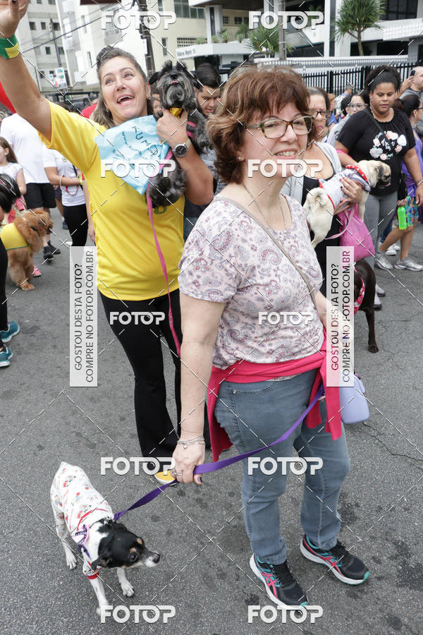 Buy your photos of the event13� C�ominhada - Santos on Fotop