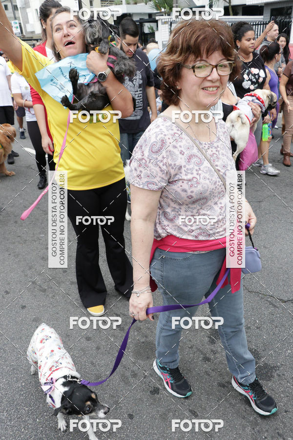 Buy your photos of the event13� C�ominhada - Santos on Fotop