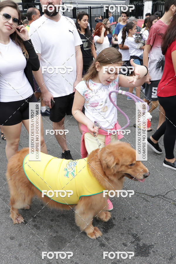 Buy your photos of the event13� C�ominhada - Santos on Fotop