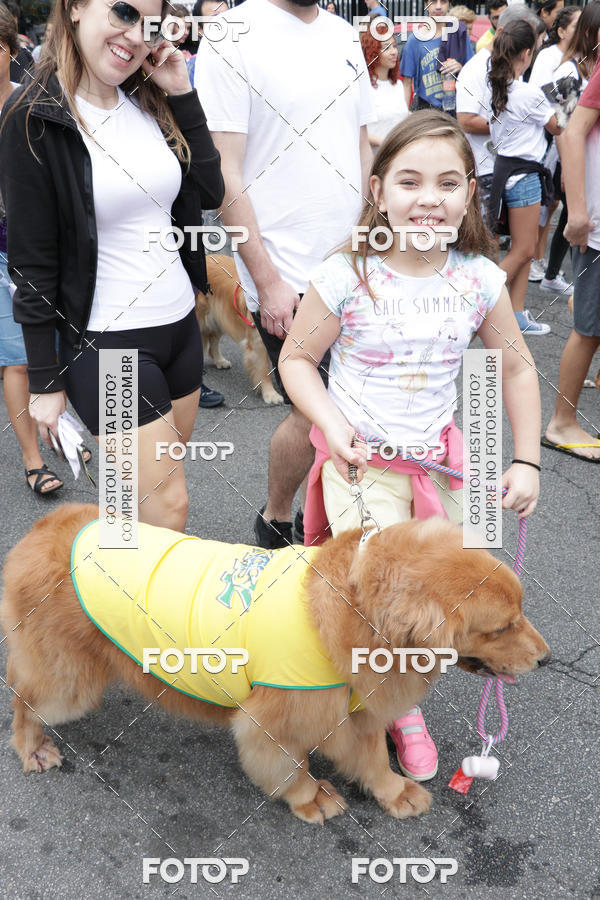 Buy your photos of the event13� C�ominhada - Santos on Fotop