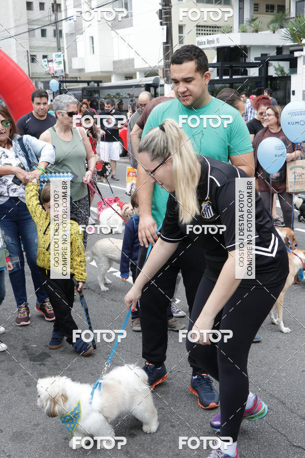Buy your photos of the event13� C�ominhada - Santos on Fotop