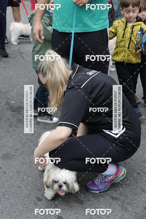 Buy your photos of the event13� C�ominhada - Santos on Fotop