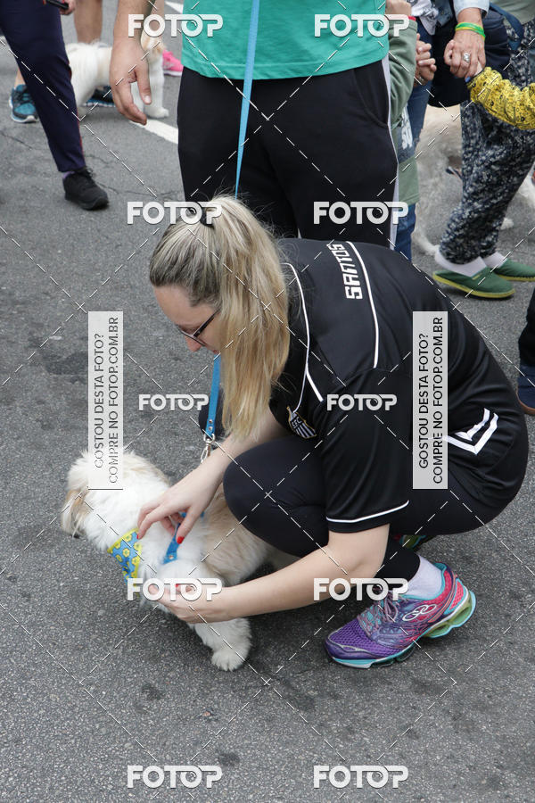 Buy your photos of the event13� C�ominhada - Santos on Fotop