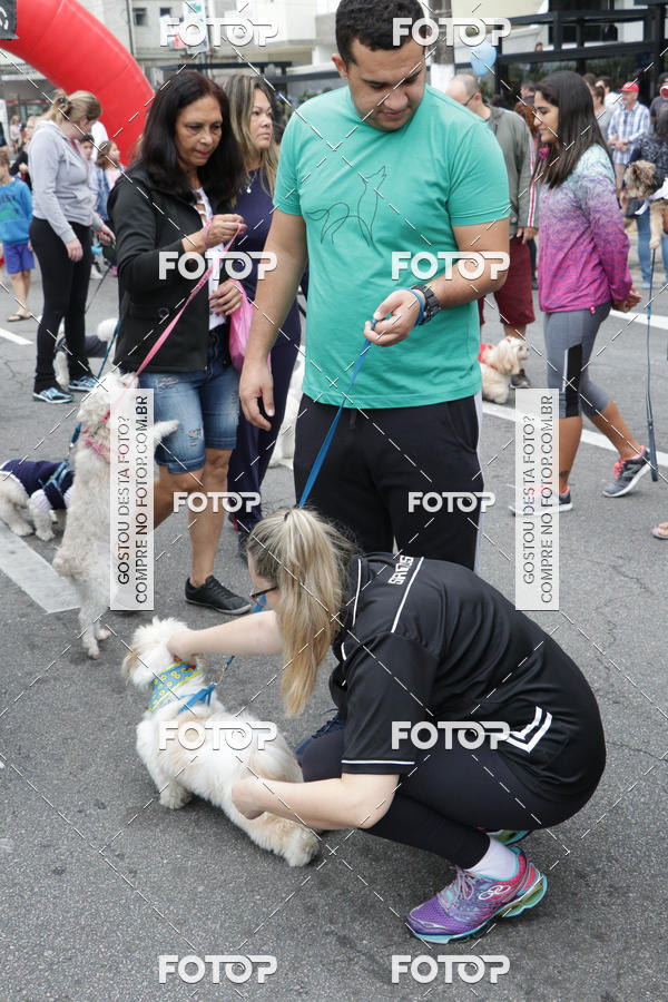 Buy your photos of the event13� C�ominhada - Santos on Fotop