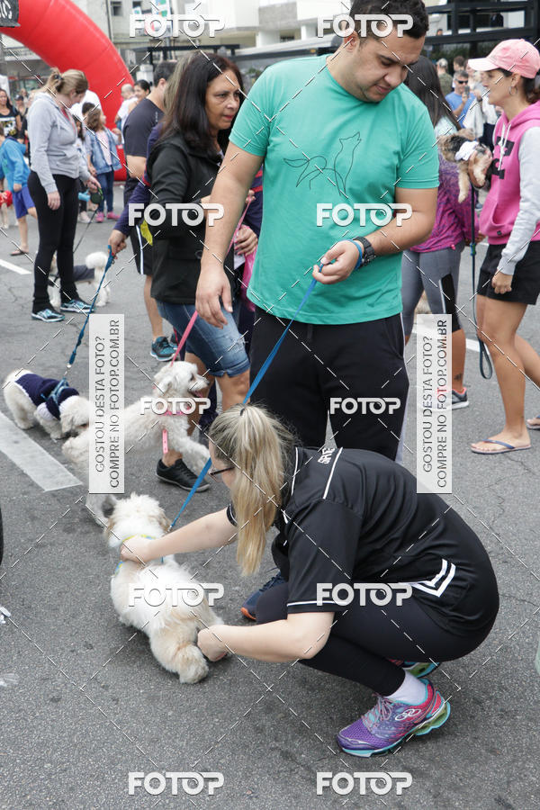 Buy your photos of the event13� C�ominhada - Santos on Fotop