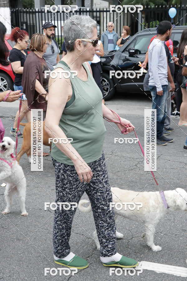 Buy your photos of the event13� C�ominhada - Santos on Fotop