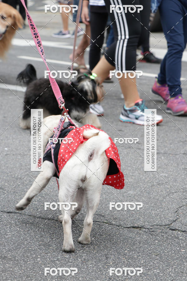 Buy your photos of the event13� C�ominhada - Santos on Fotop