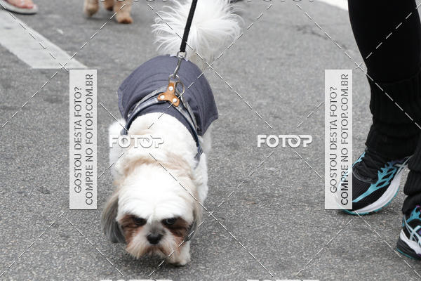 Buy your photos of the event13� C�ominhada - Santos on Fotop