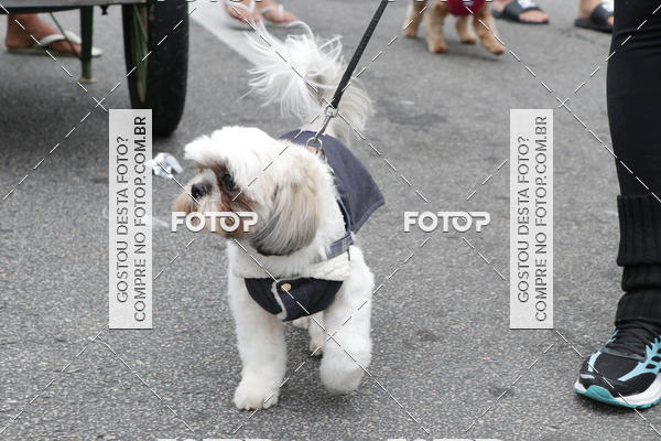 Buy your photos of the event13� C�ominhada - Santos on Fotop