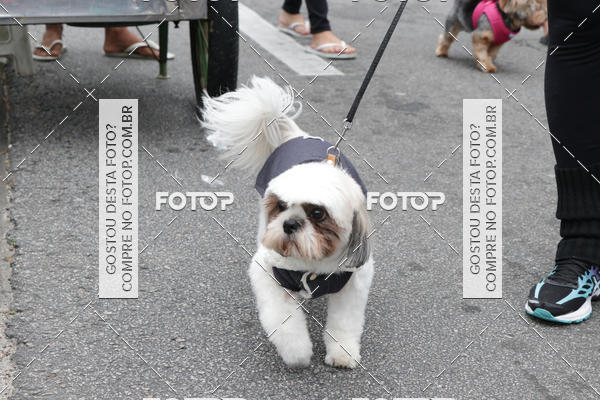 Buy your photos of the event13� C�ominhada - Santos on Fotop