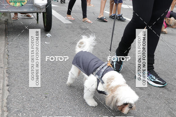 Buy your photos of the event13� C�ominhada - Santos on Fotop