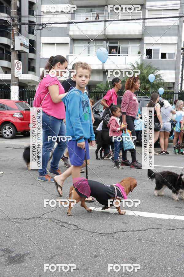 Buy your photos of the event13� C�ominhada - Santos on Fotop