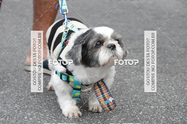 Buy your photos of the event13 Cominhada - Santos on Fotop