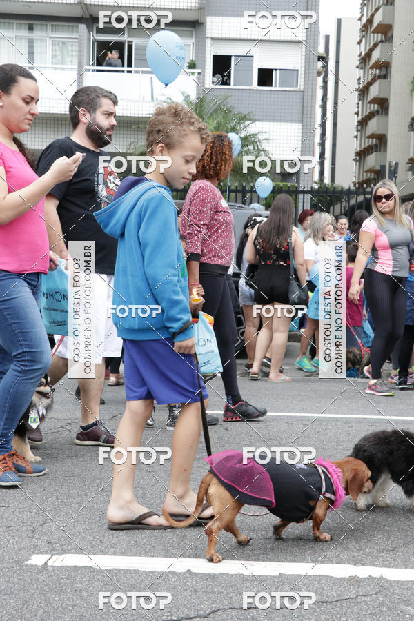 Buy your photos of the event13� C�ominhada - Santos on Fotop