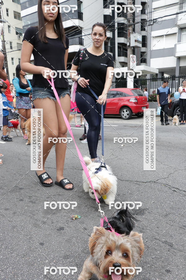 Buy your photos of the event13� C�ominhada - Santos on Fotop