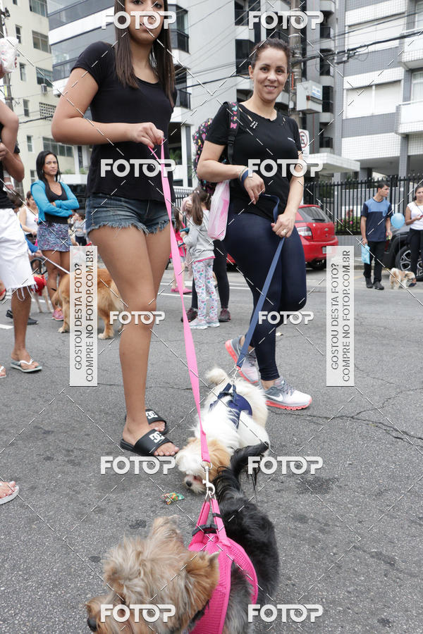 Buy your photos of the event13� C�ominhada - Santos on Fotop