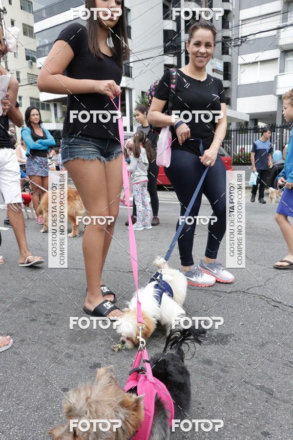 Buy your photos of the event13� C�ominhada - Santos on Fotop