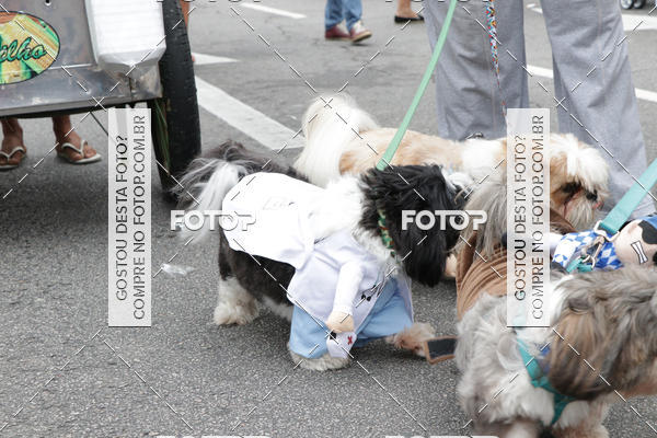 Buy your photos of the event13� C�ominhada - Santos on Fotop