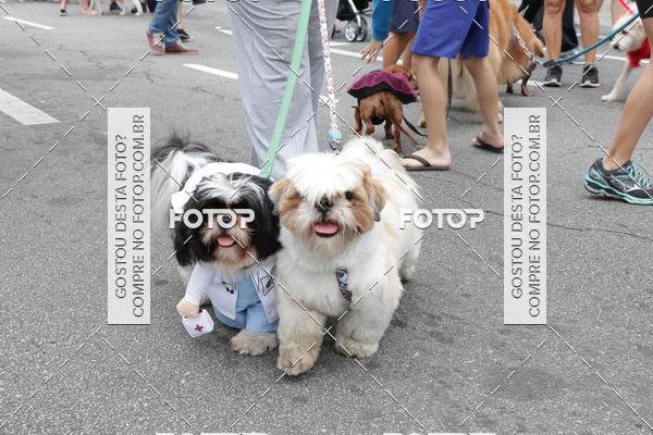 Buy your photos of the event13� C�ominhada - Santos on Fotop