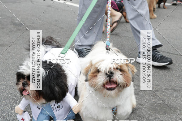 Buy your photos of the event13� C�ominhada - Santos on Fotop