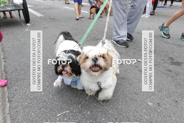 Buy your photos of the event13� C�ominhada - Santos on Fotop