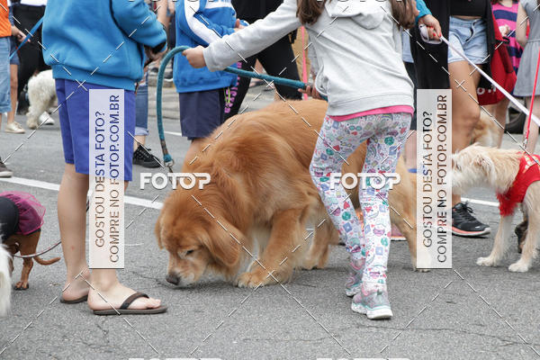 Buy your photos of the event13� C�ominhada - Santos on Fotop