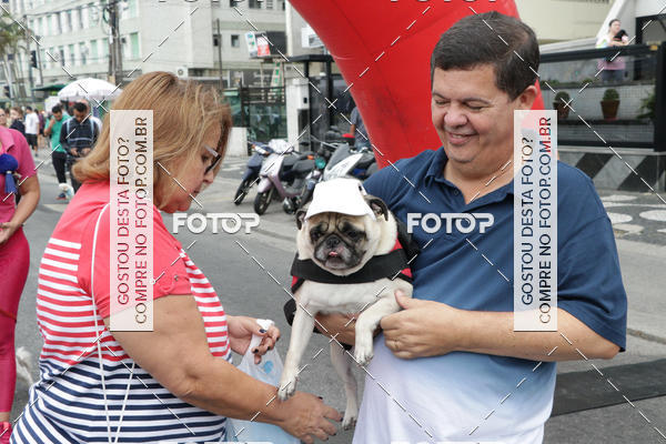 Buy your photos of the event13 Cominhada - Santos on Fotop