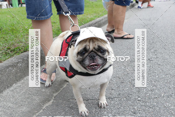 Buy your photos of the event13 Cominhada - Santos on Fotop