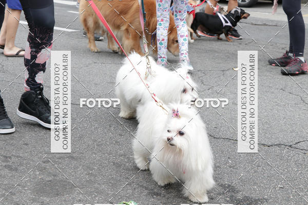 Buy your photos of the event13� C�ominhada - Santos on Fotop