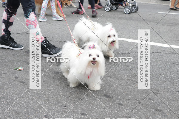 Buy your photos of the event13� C�ominhada - Santos on Fotop