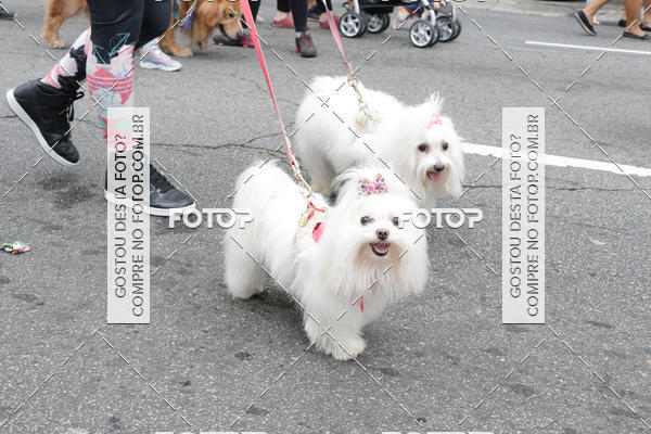 Buy your photos of the event13� C�ominhada - Santos on Fotop