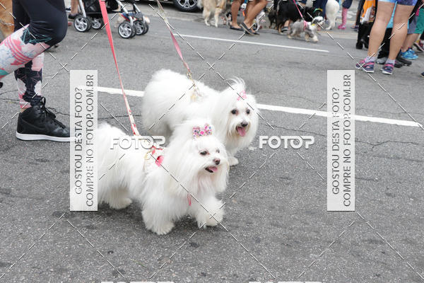 Buy your photos of the event13� C�ominhada - Santos on Fotop