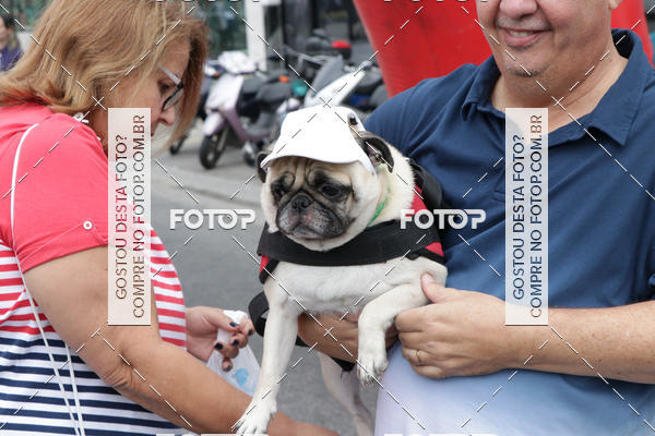 Buy your photos of the event13 Cominhada - Santos on Fotop