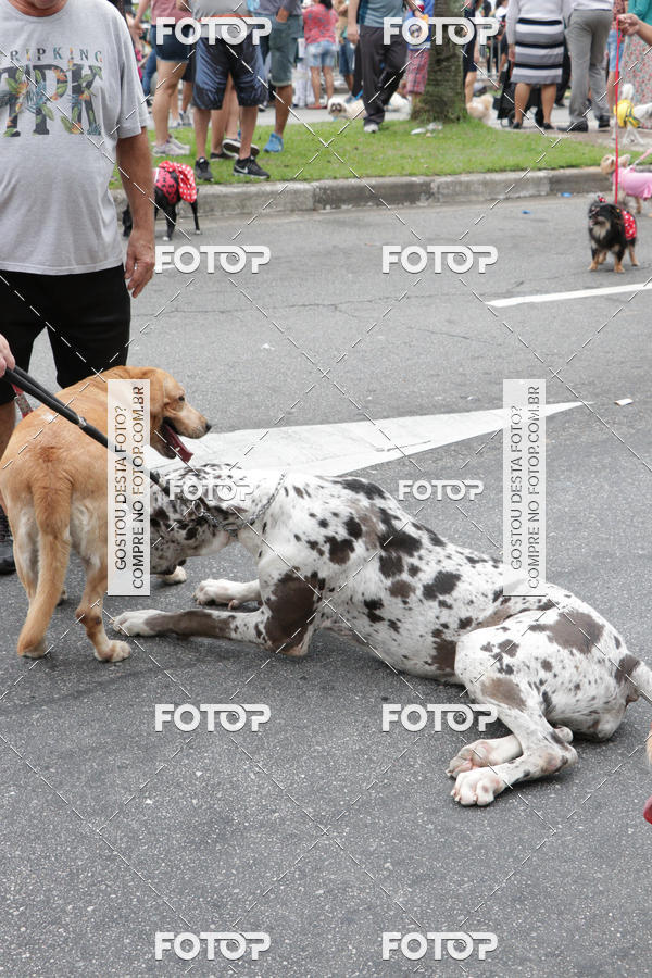 Buy your photos of the event13� C�ominhada - Santos on Fotop