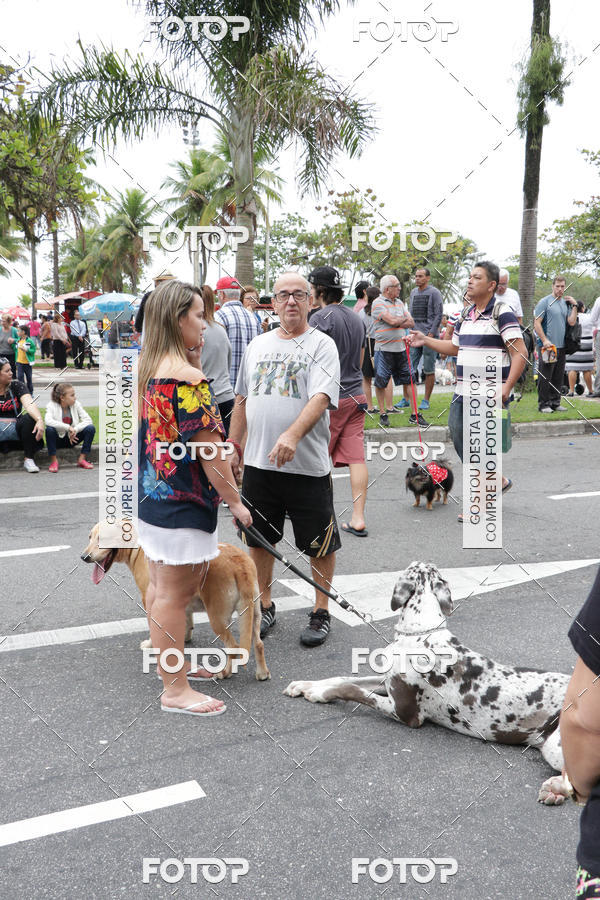 Buy your photos of the event13� C�ominhada - Santos on Fotop